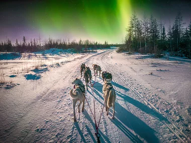 Romantisches Abenteuer unter dem Nordlicht mit Husky-Fahrt in Norwegen