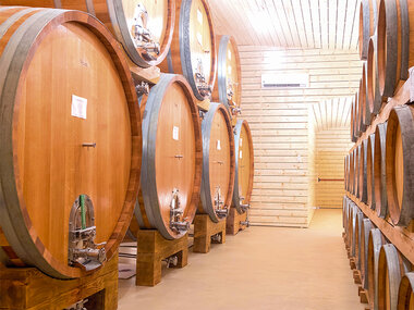 Degustazione di vini e prodotti tipici con visita in cantina tra i vigneti di Asti