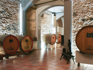 Tour enologico con degustazione di 3 vini per 1 a Brescia e bottiglia omaggio