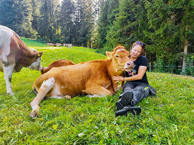 Moo-menti di coccole con le mucche in una fattoria vicino a Basilea per 4 persone