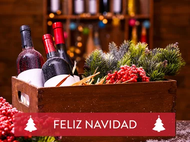 Una Navidad enológica: visita a viñedo y cata de vino para 2 personas