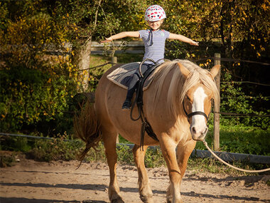 Familienfreude bei einer Minikutschfahrt inmitten der Natur