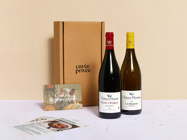 Adoption de parcelles de vignes de 4 domaines bordelais avec visites et livraison de 4 coffrets personnalisés