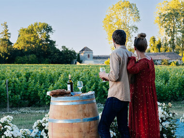Adoption de parcelles de vignes de 4 domaines bio avec visites et livraison de 4 coffrets personnalisés