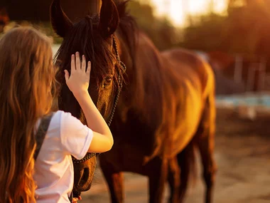 Zottelige Umarmung beim Pferde- oder Pony-Kuscheln