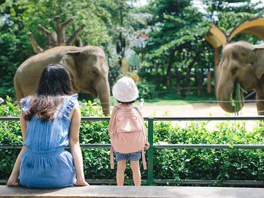 Familienhighlight in Wuppertal mit Übernachtung, Zoo und Pizza