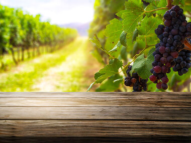 Naturvinprovning för 2 med Göteborg Wine Club