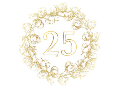 Herzlichen Glückwunsch zum 25. Hochzeitstag!