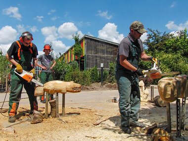 Kunst aus Holz: Schnitzen mit der Elektrosäge nahe Karlsruhe