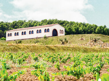 El Celler Vell: visita guiada a la bodega con cata de cavas
