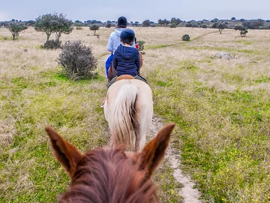 ¡Naturaleza y animales!: ruta a caballo para 1 persona