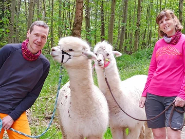 Rendezvous mit Alpakas: Spaziergang und Picknick für 2 in Waldenbuch