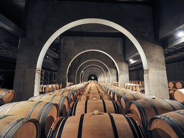 Pago de los Capellanes: visita a la bodega y cata de 3 vinos