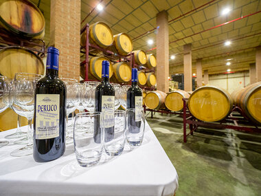 Vino & Aceite de Arganda: visita guiada y degustación de 3 vinos