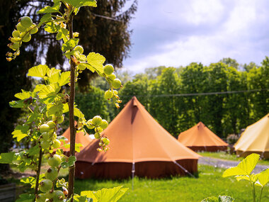 3 dagen glamping op het Domein van de Grotten van Han (hoogseizoen)