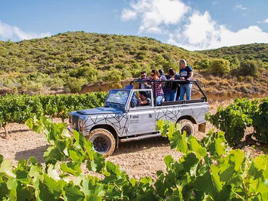 Proyecto Unsi: 1 visita a la bodega y a los viñedos en un todoterreno y cata para 2