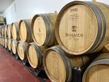 El Mosaico de Baco, Burgos: visita a viñedo y bodega y cata para 2 personas