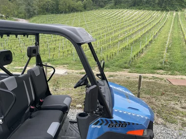 Tour in Buggy tra i vigneti del Piemonte con visita alla cantina e degustazione di 4 vini