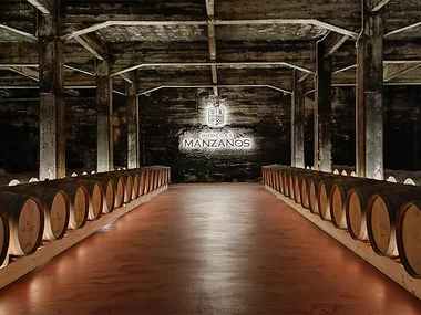 Bodegas Manzanos: visita a bodega, con cata y aperitivos para 2 personas