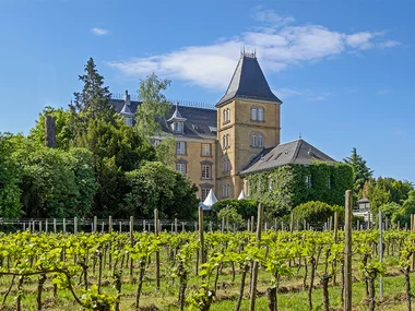 1 Übernachtung in der Südpfalz im historischen 4* Edesheimer Schlosshotel mit Weingenuss