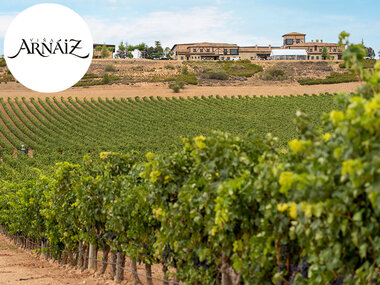 Bodega Viña Arnáiz, D.O. Ribera del Duero: visita a bodega y cata