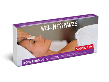 Wellnesspauze