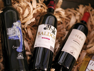 Bodegas y Viñedos Castiblanque, Ciudad Real: visita a bodega, cata y maridaje de 3 vinos