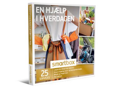 En hjælp i hverdagen