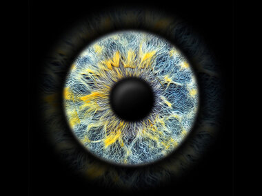 Die Schönheit im Auge: Iris-Fotografie als einzigartiges Kunstwerk