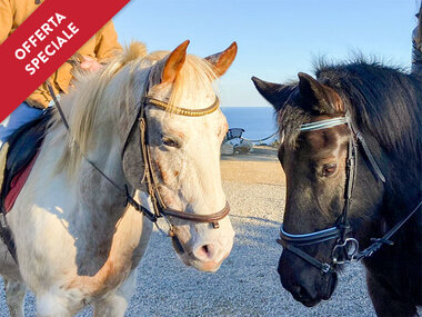 In sella con gusto a Pietra Ligure: una passeggiata a cavallo di 2h e grigliata per 2