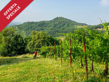 Visita a una cantina biologica vicino a Bologna con degustazione di 3 vini e 2 bottiglie in regalo