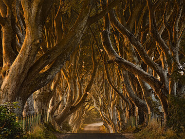 4 jours à Dublin avec visite guidée des lieux emblématiques de Game of Thrones®