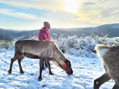 Rentier-Wanderung für 2 mit Picknick im Nahetal