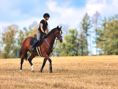 Passeggiata a cavallo nei dintorni di Siena: 1h di pura emozione