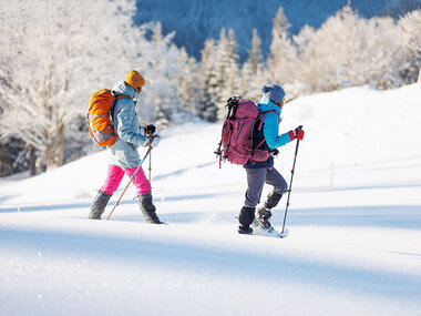 1 nuit avec balade en raquettes à la belle étoile dans le canton des Grisons