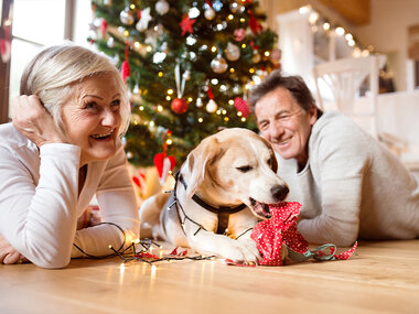 Natale con Fido: 1 notte con il tuo amico a quattro zampe