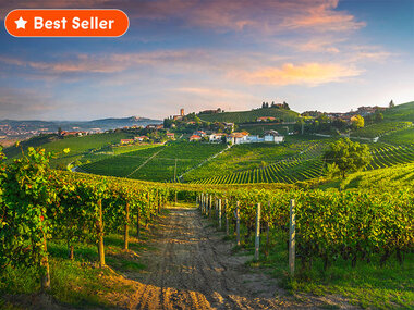 I vini del Piemonte: visita con degustazione e 2 bottiglie