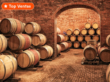 Visita a bodega y cata de vinos para 2