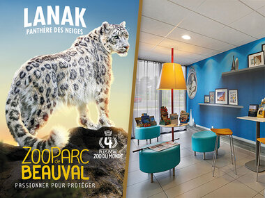 Séjour au ZooParc de Beauval en 2026 : 2 journées et 1 nuit à proximité pour 2 adultes