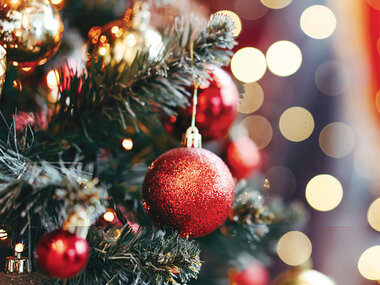 Sorpresa di Natale: 1 degustazione o 1 attività benessere o 1 avventura