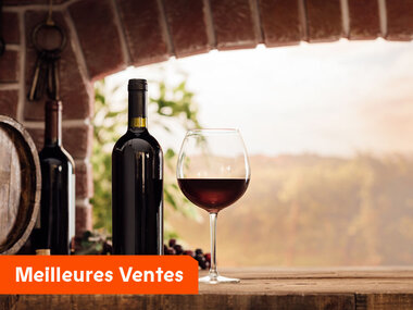 Atelier Œnologie : dégustation et découverte des grands crus