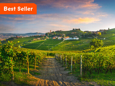 I vini del Piemonte: visita con degustazione e 2 bottiglie