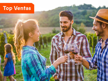 Entre viñedos: 1 noche y cata de vinos