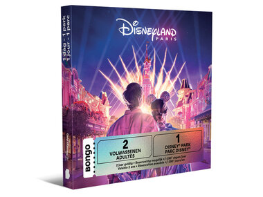 1 dag in Disneyland® Paris: 1 park, 2 volwassenen