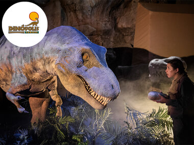 Territorio Dinópolis: 2 entradas de adulto y 2 entradas de júnior o sénior