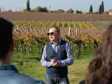 Il Lago di Garda e i suoi vini: 1 degustazione con prodotti tipici