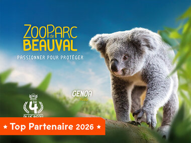 Billet pour le ZooParc de Beauval 2026 : 1 entrée adulte pour 1 journée
