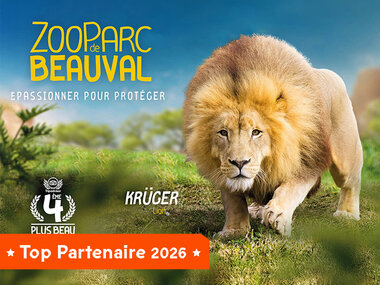 Billets pour le ZooParc de Beauval 2026 : 2 entrées adulte pour 1 journée