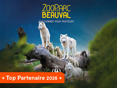 Billets pour le ZooParc de Beauval 2026 : 1 entrée adulte et 2 entrées enfant pour 1 journée