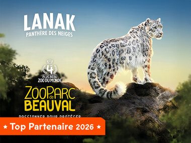Billets pour le ZooParc de Beauval 2026 : 2 entrées adulte pour 2 journées
